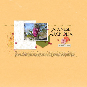 TLP_Japanese-Magnolia