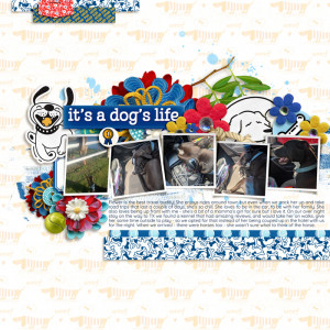 A Dog's Life