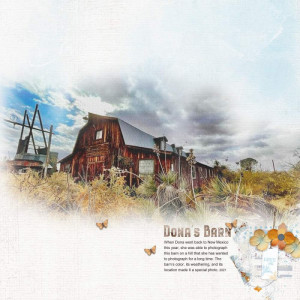 Dona's Barn