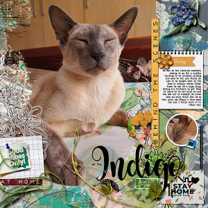 Indie