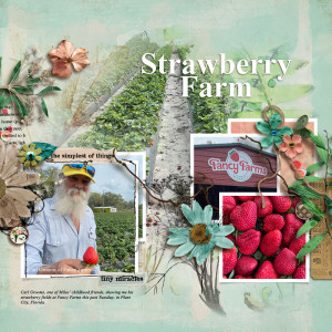 Strawberry Farm