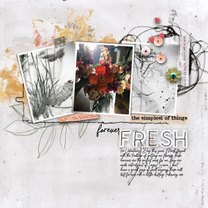 Forever Fresh