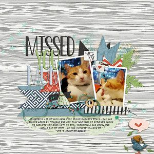 Missed-you
