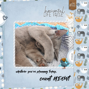 200917_cat Nap