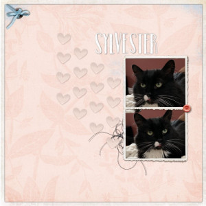 Inspiration - Sylvester