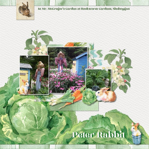 Peter Rabbit
