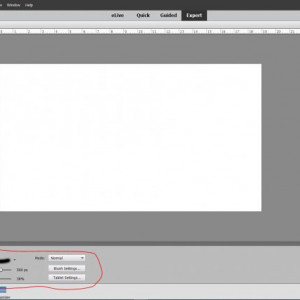 PSE Brush 3