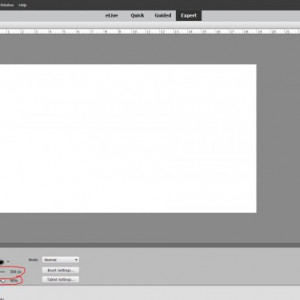 PSE Brush 5