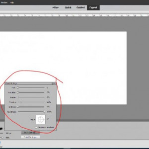 PSE Brush 6
