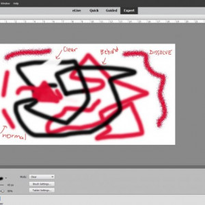 PSE Brush 7