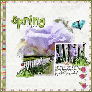 Spring is in the Air