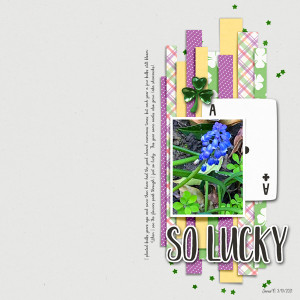 3-10Soco_solucky