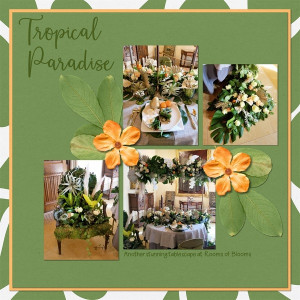 Tropical Paradise