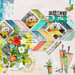 FF_3-12_LBW_SwL_Rainy Days