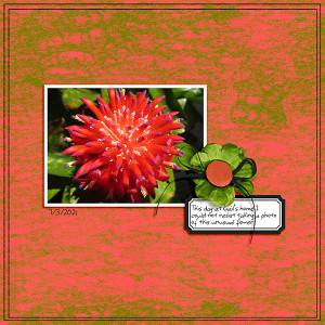 LOD_ElifSahinDesigns_Gails-Flower