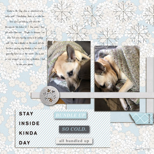 Sahlinstudio_bundledup