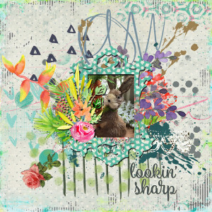 3-14TangieBaxter_lookinsharp