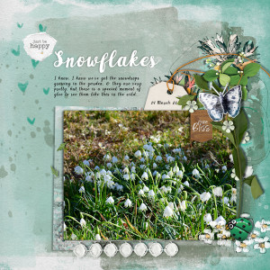 210314_snowdrops