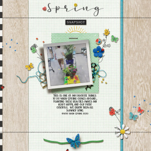 Spring Shopping | 2020