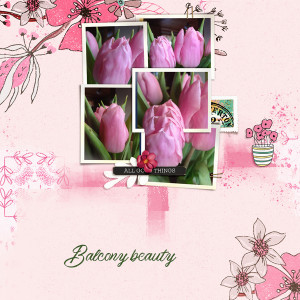Tulipes