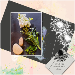 Photography-March-still-life