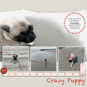 Crazy-Dog-at-the-Beach-Journaling-Mar-2021-web