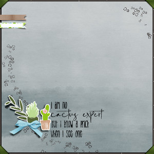 I am no cactus expert