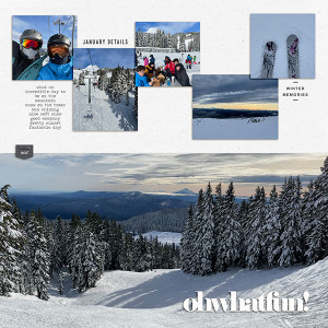 Skiing Adventures