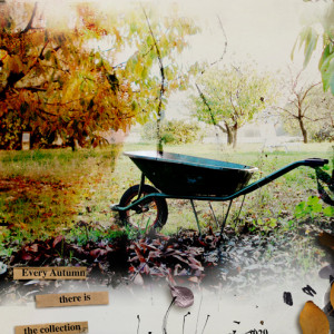Every Autumn