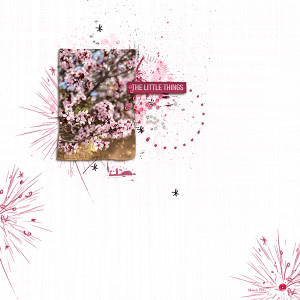 Blossoms