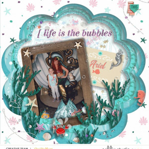 Shadow Box Challenge - Ariel