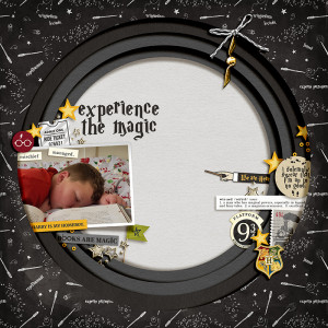 Magic of Harry Potter (take 3) - PM FANniversary Shadowbox Challenge