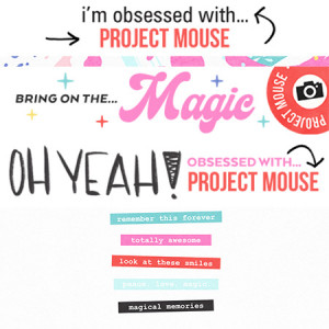 Project Mouse Fanniversary - Siggie