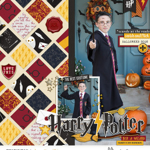 harry potter