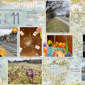 2021week11