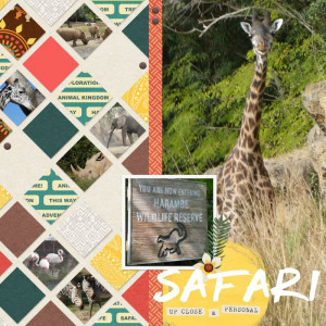 Fav8 Safari