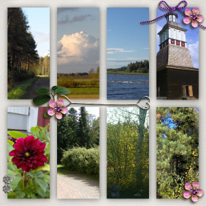 My favorite summer pictures