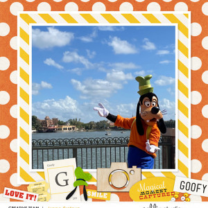 Goofy Shadow Box