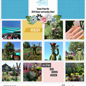 Flower And Garden Show