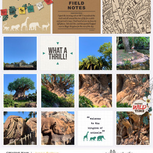Tree Of Life Animal Kingdom