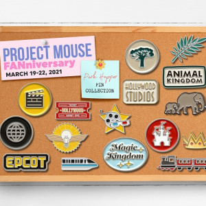 FANniversary Pin Collection