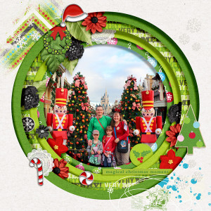 201412 Front Cover Magic Kingdom