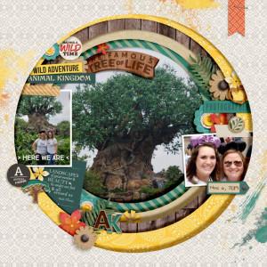 WDW- Animal Kingdom 11-19
