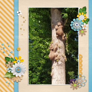 Bears