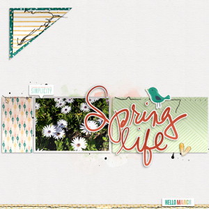 Spring Life