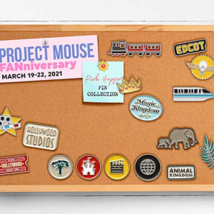 Brittdes_pm_fanniversary_corkboard_600