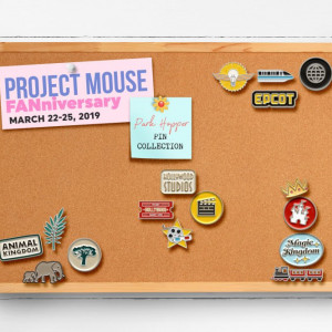 Faniversary Finished Corkboard