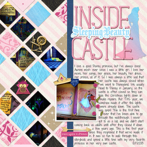 Inside Sleeping Beauty Castle