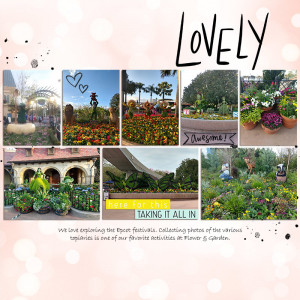 Favor8 Photos - Lovely Epcot Flowers