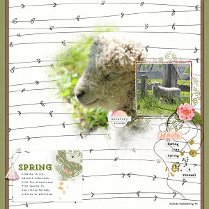 Spring